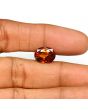 Hessonite (Gomed) - 6.48 Carat 