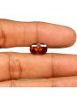 Hessonite (Gomed) - 5.66 Carat 