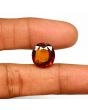Hessonite (Gomed) - 9.51 Carat 