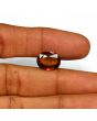 Hessonite (Gomed) - 7.44 Carat 