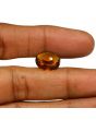 Hessonite (Gomed) - 7.44 Carat 