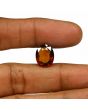 Hessonite (Gomed) - 7.44 Carat 