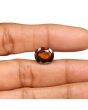 Hessonite (Gomed) - 8.46 Carat 