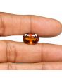 Hessonite (Gomed) - 6.64 Carat 