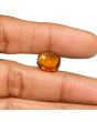 Hessonite (Gomed) - 8.51 Carat 