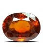 Hessonite (Gomed) - 7.59 Carat 