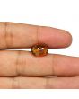 Hessonite (Gomed) - 7.59 Carat 