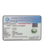 Green Sapphire Mayanmar (Burma) Cts 12.47 Ratti 13.71