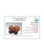 Natural Gauri Shankar 11 Mukhi Rudraksha (Nepal) GJSPC Certified 35.31 M.M.