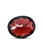 Red Garnet 10.95 Carat 