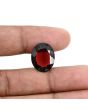 Red Garnet 10.95 Carat 