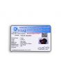 Red Garnet 10.46 Carat 