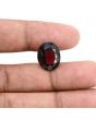Red Garnet 10.62 Carat 