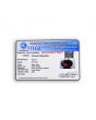 Red Garnet 10.27 Carat 