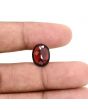 Red Garnet 8 Carat 