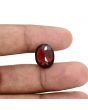 Red Garnet 9.18 Carat 