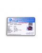 Red Garnet 6.93 Carat 