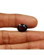 Red Garnet 5.46 Carat 