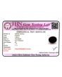 Red Garnet 10.88 Carat 