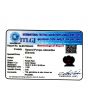 Red Garnet 7.39 Carat 