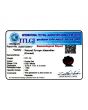 Red Garnet 8.21 Carat 
