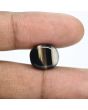Sulemani Hakik (Agate) 9.8 Carat 