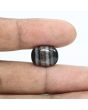 Sulemani Hakik (Agate) 11.65 Carat 