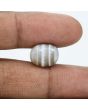 Sulemani Hakik (Agate) 9.83 Carat 