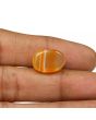 Agate (Hakik) 13.19 Carat 