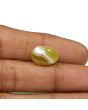 Agate (Hakik) 9.81 Carat 