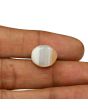 Agate (Hakik) 12.67 Carat 