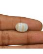 Agate (Hakik) 8.81 Carat 