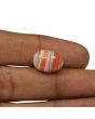 Agate (Hakik) 10.25 Carat 