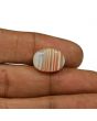 Agate (Hakik) 13.28 Carat 