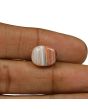 Agate (Hakik) 7.4 Carat 