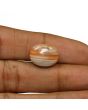 Agate (Hakik) 12.7 Carat 