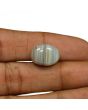 Agate (Hakik) 13.08 Carat 
