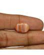 Agate (Hakik) 7.73 Carat 