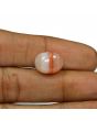 Agate (Hakik) 10.07 Carat 