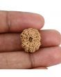 14 Mukhi Rudraksha (Indonesia) 18.81 M.M.