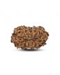 14 Mukhi Rudraksha (Indonesia) 19.8 M.M.