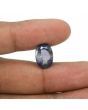 Iolite (Neeli) 6.25 Carat 