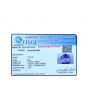 Iolite (Neeli) 8.72 Carat 