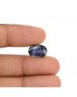 Iolite (Neeli) 5.77 Carat 