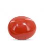 Japanese Red Coral (Moonga) 5.58 Carat 