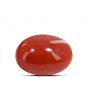 Japanese Red Coral (Moonga) 4.76 Carat 