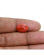 Japanese Red Coral (Moonga) 4.76 Carat 