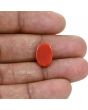 Japanese Red Coral (Moonga) 4.76 Carat 