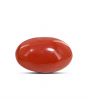Japanese Red Coral (Moonga) 9.83 Carat 