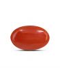 Japanese Red Coral (Moonga) 9.83 Carat 